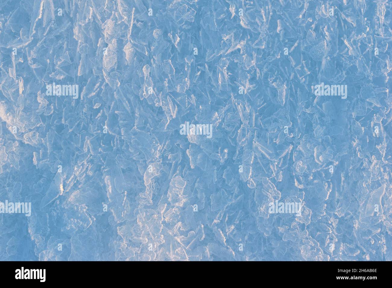 winter theme background of frozen ice crystals at sunny day. Stock Photo