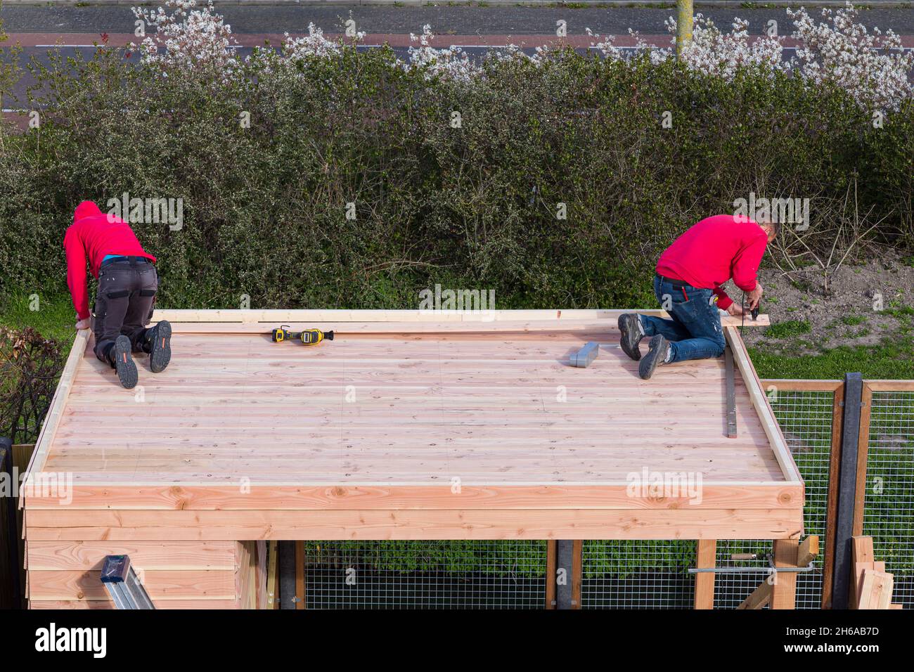 Two construction workers building a shed and veranda. Constructing the roof timbers. Stock Photo