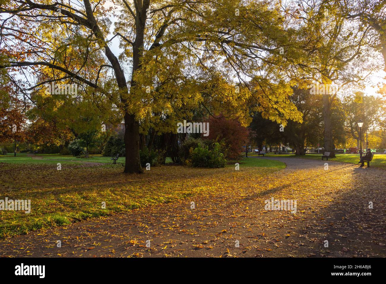 East Park (Andrews Park) during autumn sunshine, Southampton, Hampshire, England, UK Stock Photo