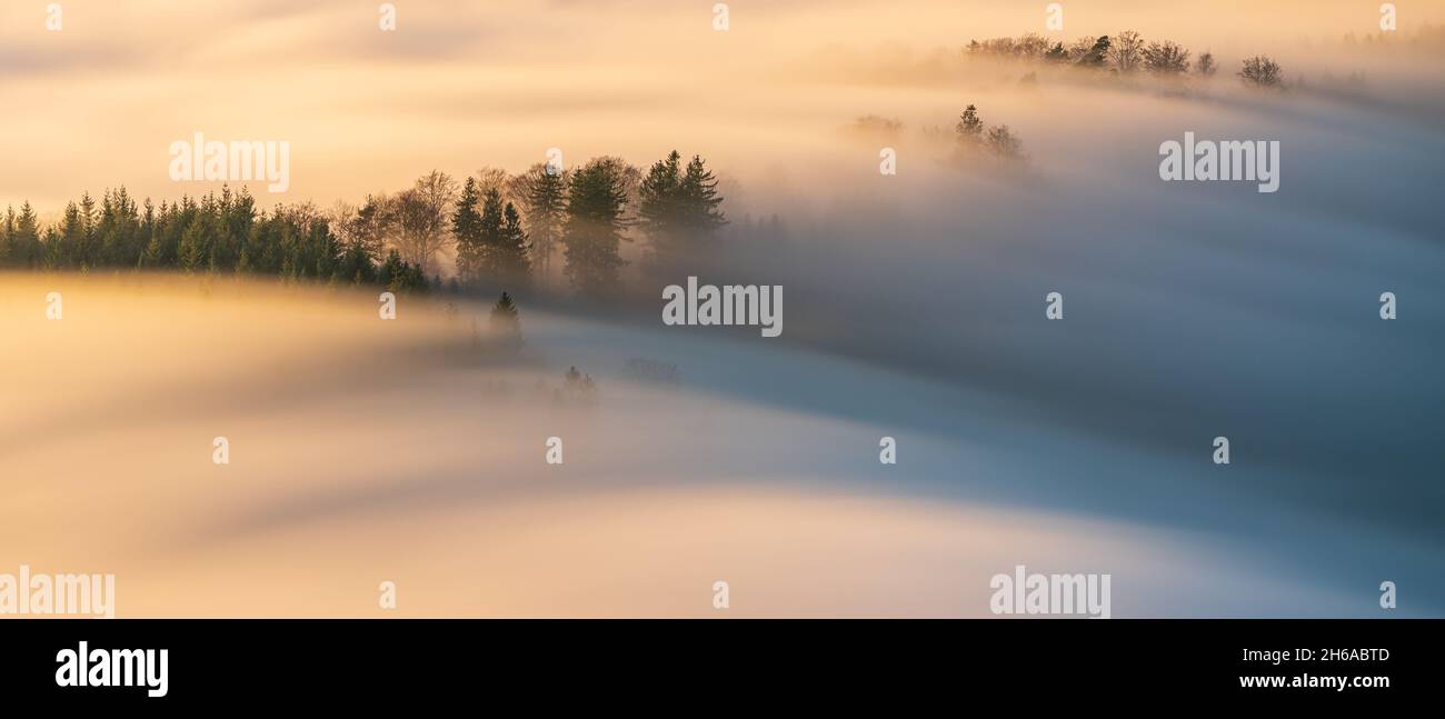 Fog streams down through trees into a valley in the Black Forest Stock Photo