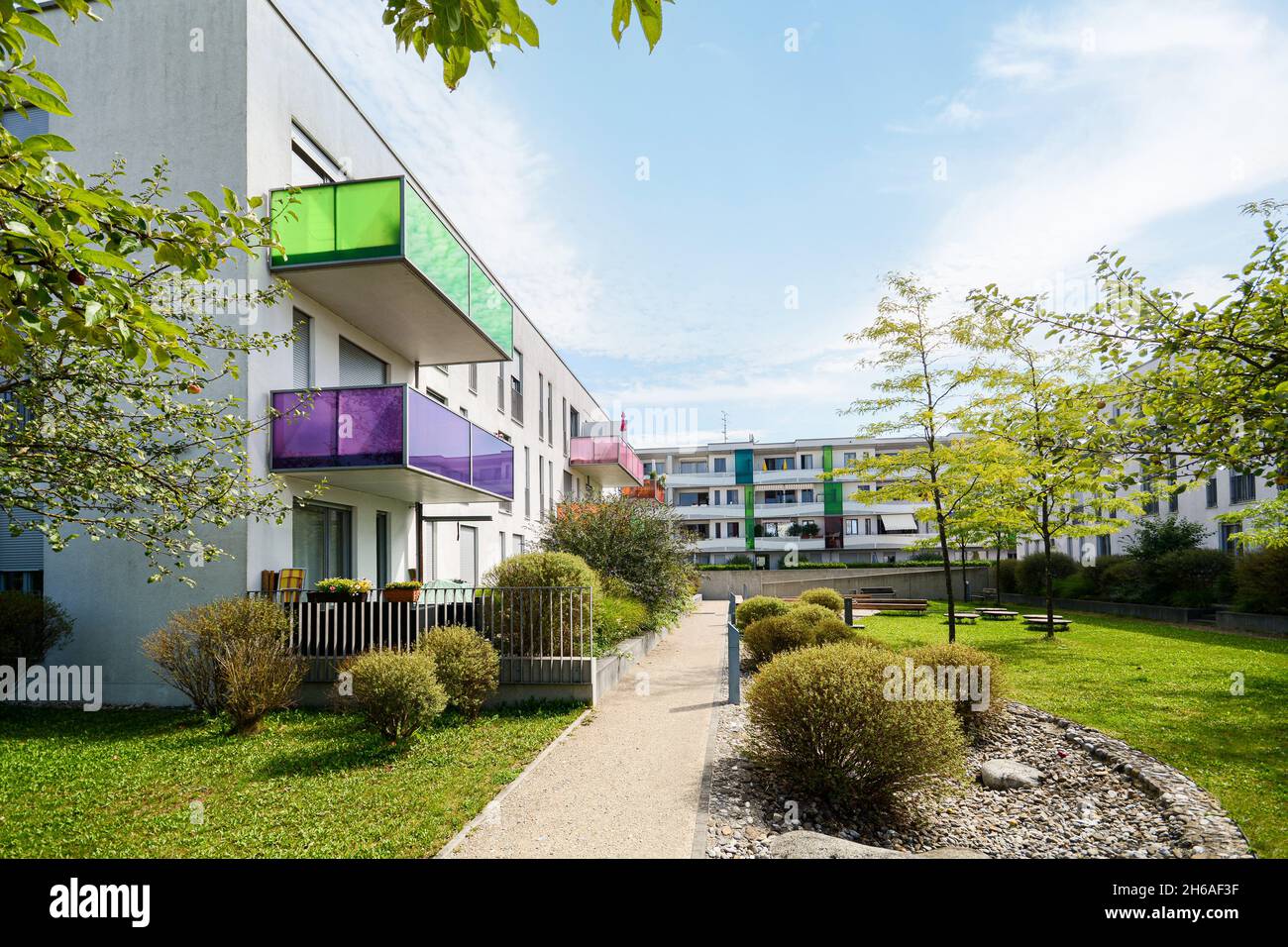 Photo inspiration: Curated Green Residential Apartment Units Gallery View 44