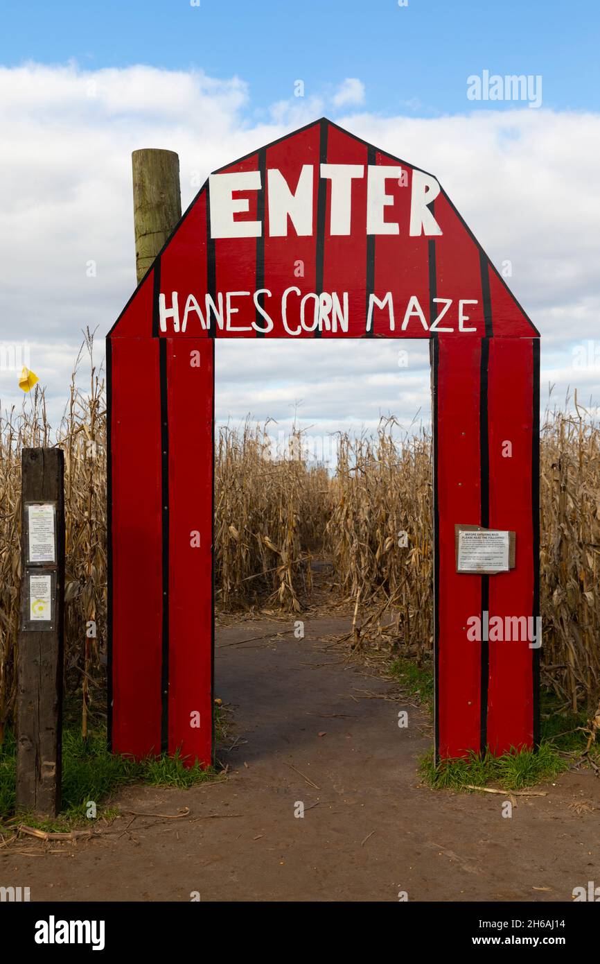 Corn maze entrance on a farm in Ontario Canada Stock Photo Alamy