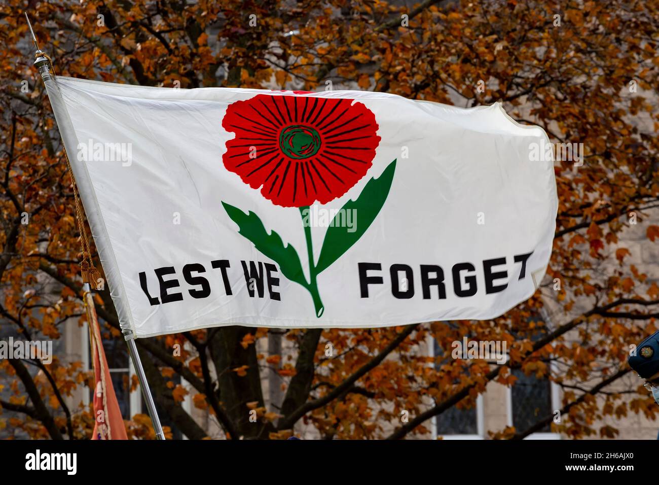 Lest we flag 100th anniversary of the remembrance poppy in