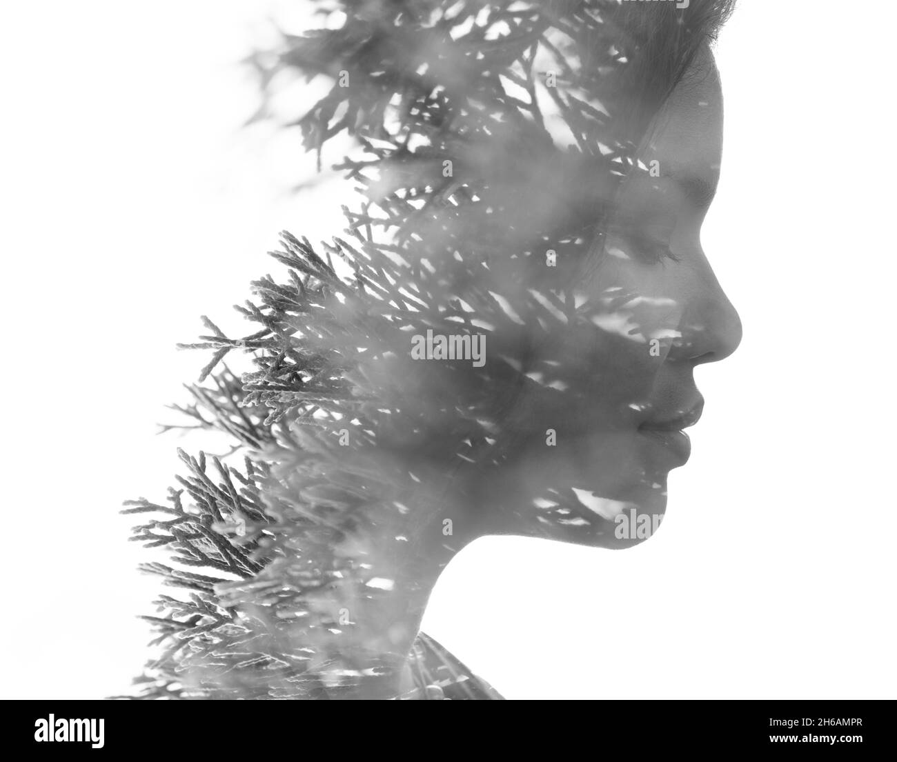 A black and white profile portrait of a woman combined with conifer ...
