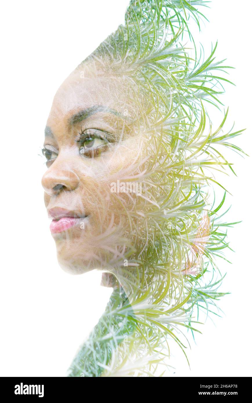 A double exposure portrait of a woman combined with an image of twigs ...