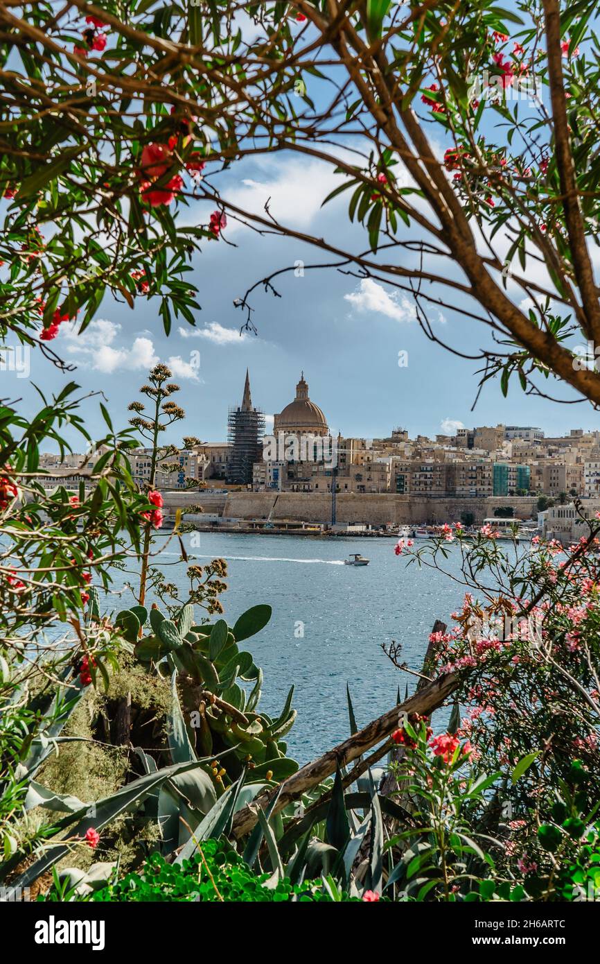 Valletta,capital of Malta.View through blooming trees of sea,small boat ...