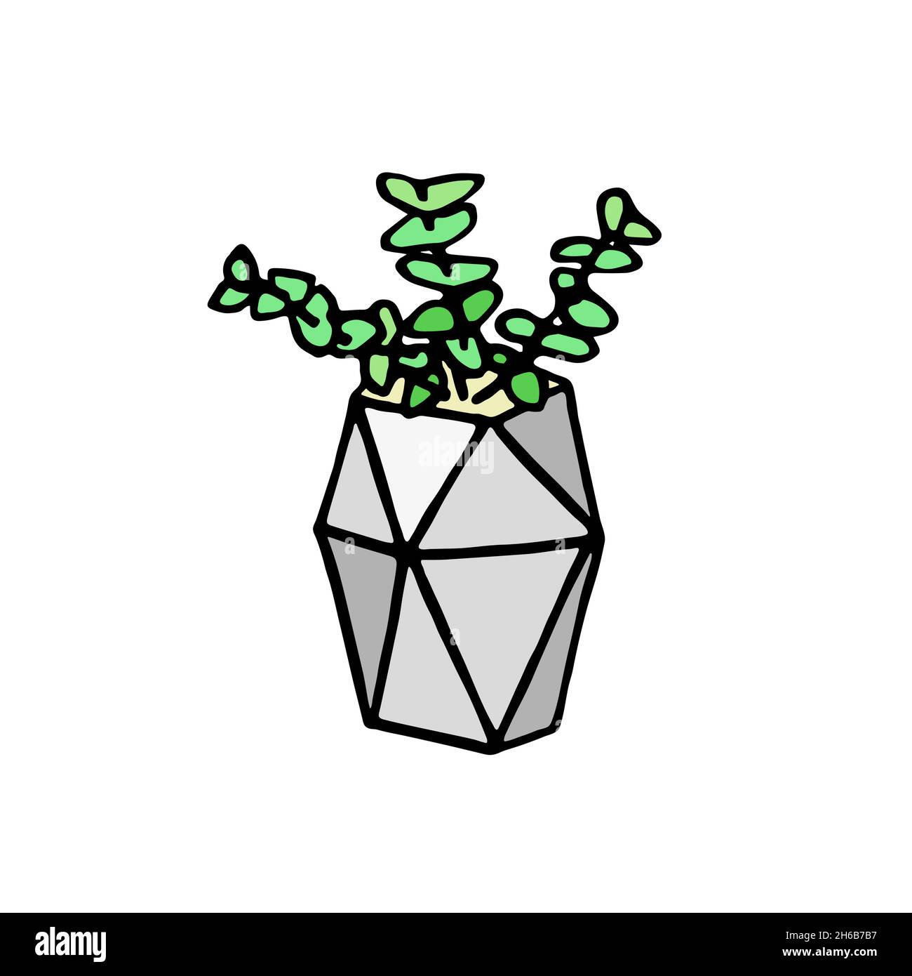 Succulent doodle print. Home plants in modern flowerpot Stock Vector