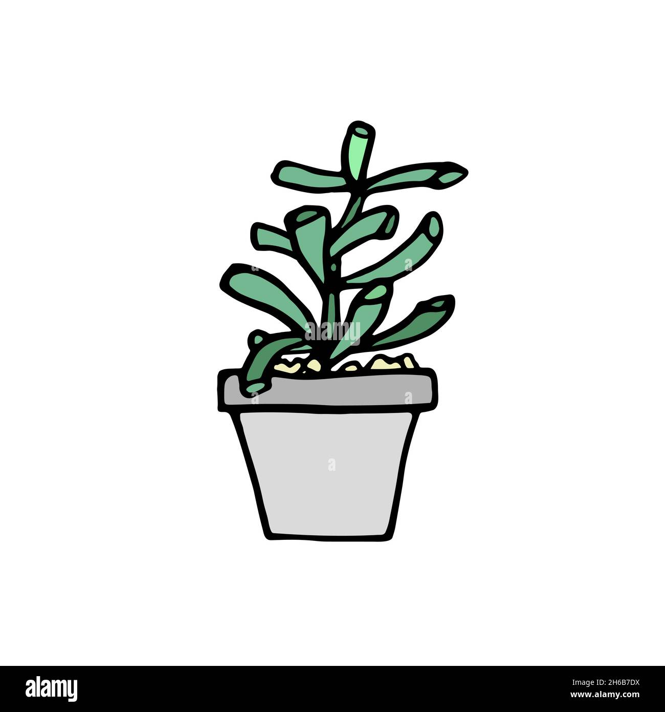 Succulent doodle print. Home plants in modern flowerpot Stock Vector