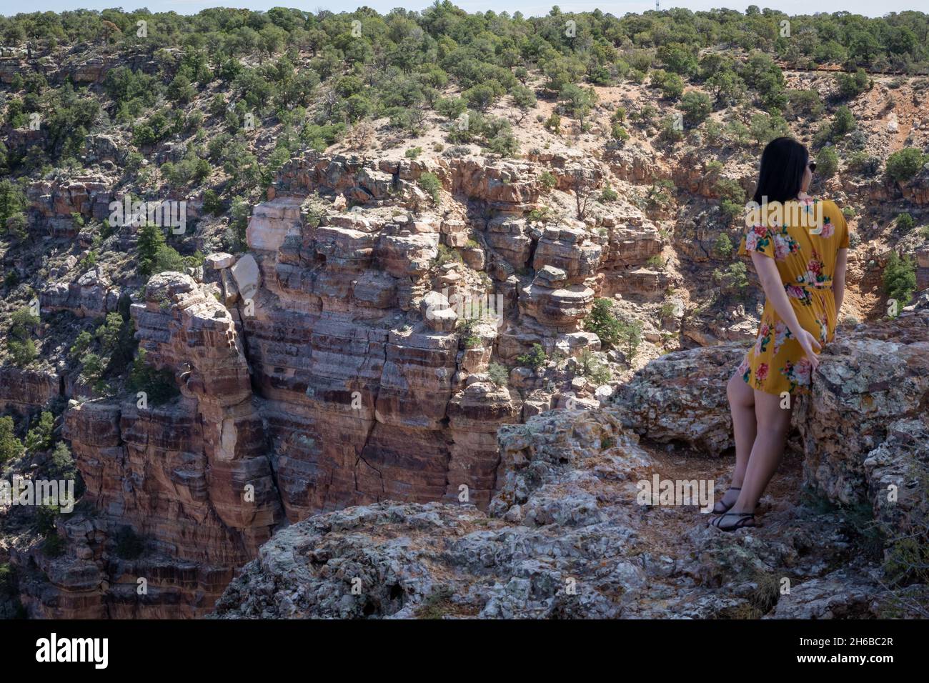 Woman standing near cliff at Grand Canyon. Stock Photo