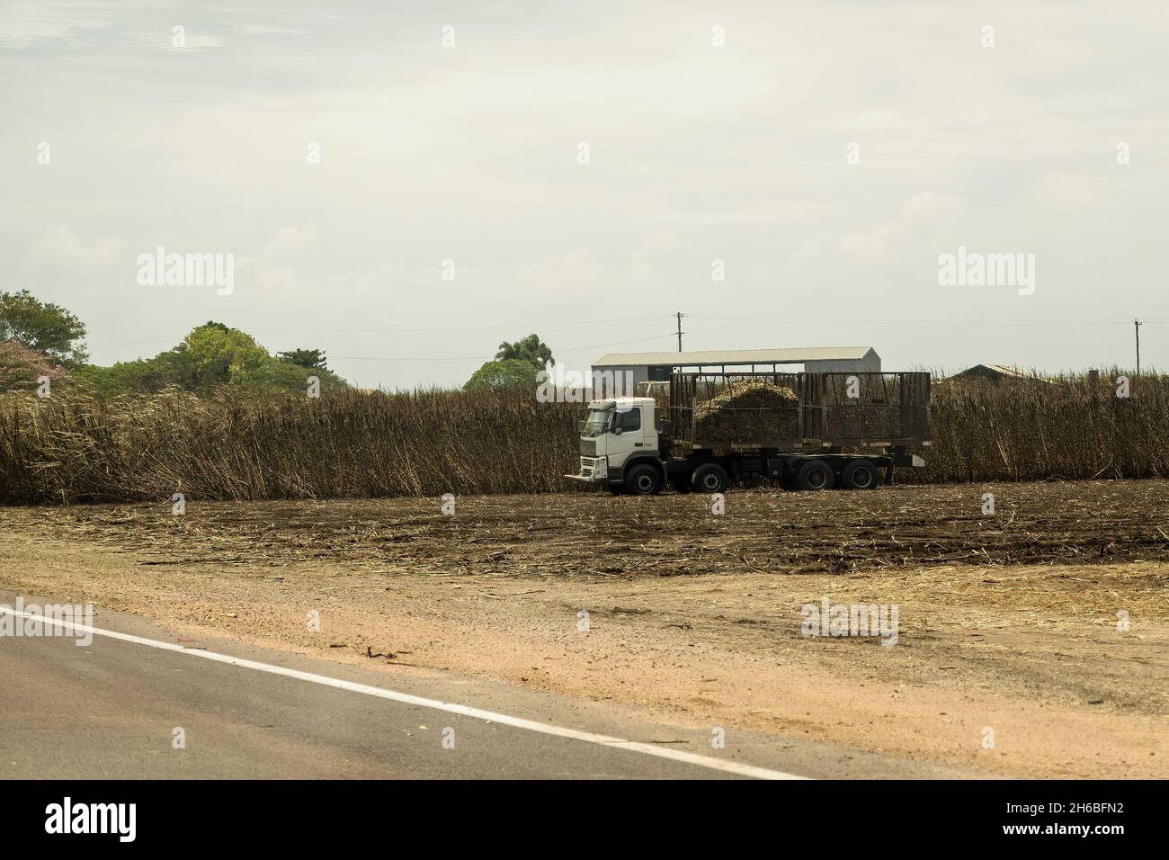 Mackay to Townsville Bruce Highway, Queensland, Australia - November 2021: A truck carting harvested sugar cane to the refinery Stock Photo