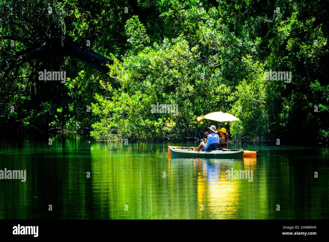 rainbow springs state park florida