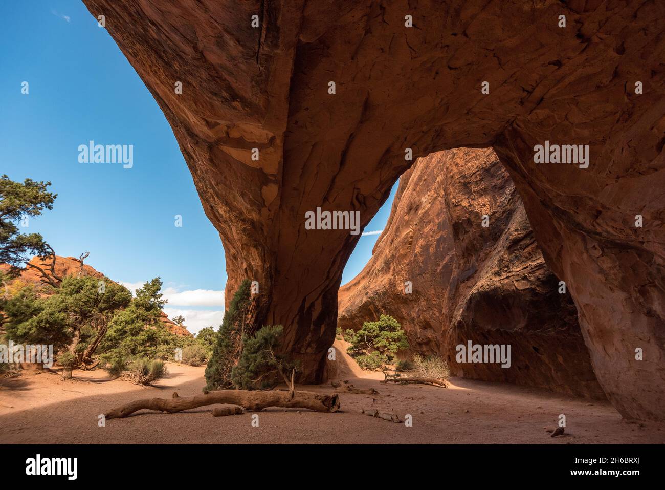 Giant Navajo Arch in the Arches National Park, USA Stock Photo Alamy
