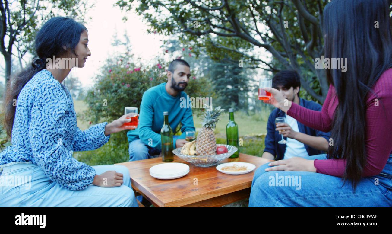 Group of friends having picnic in park hi-res stock photography and ...