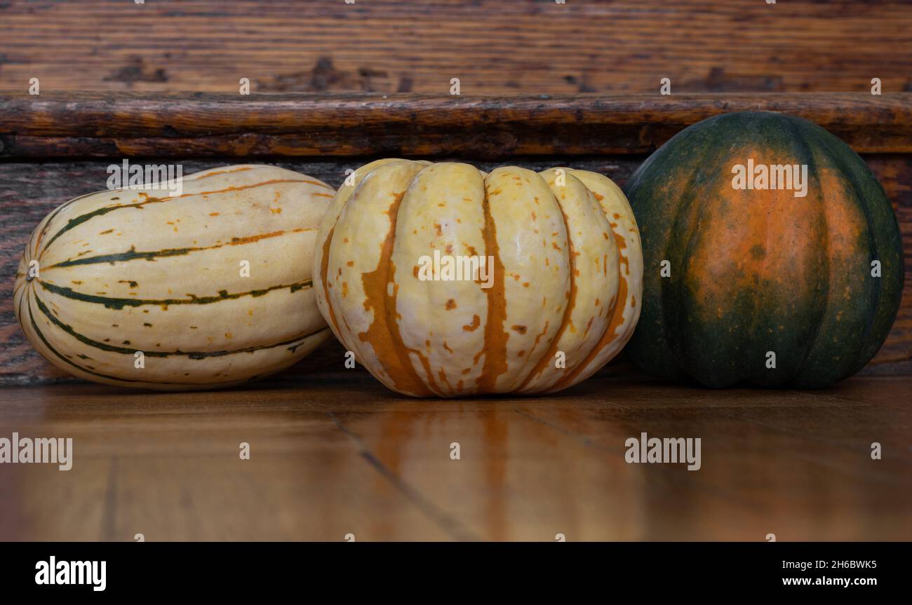 three types of winter squash arranged on a wood background, delicata squash, sweet dumpling squash and acorn squash, whole and uncooked Stock Photo