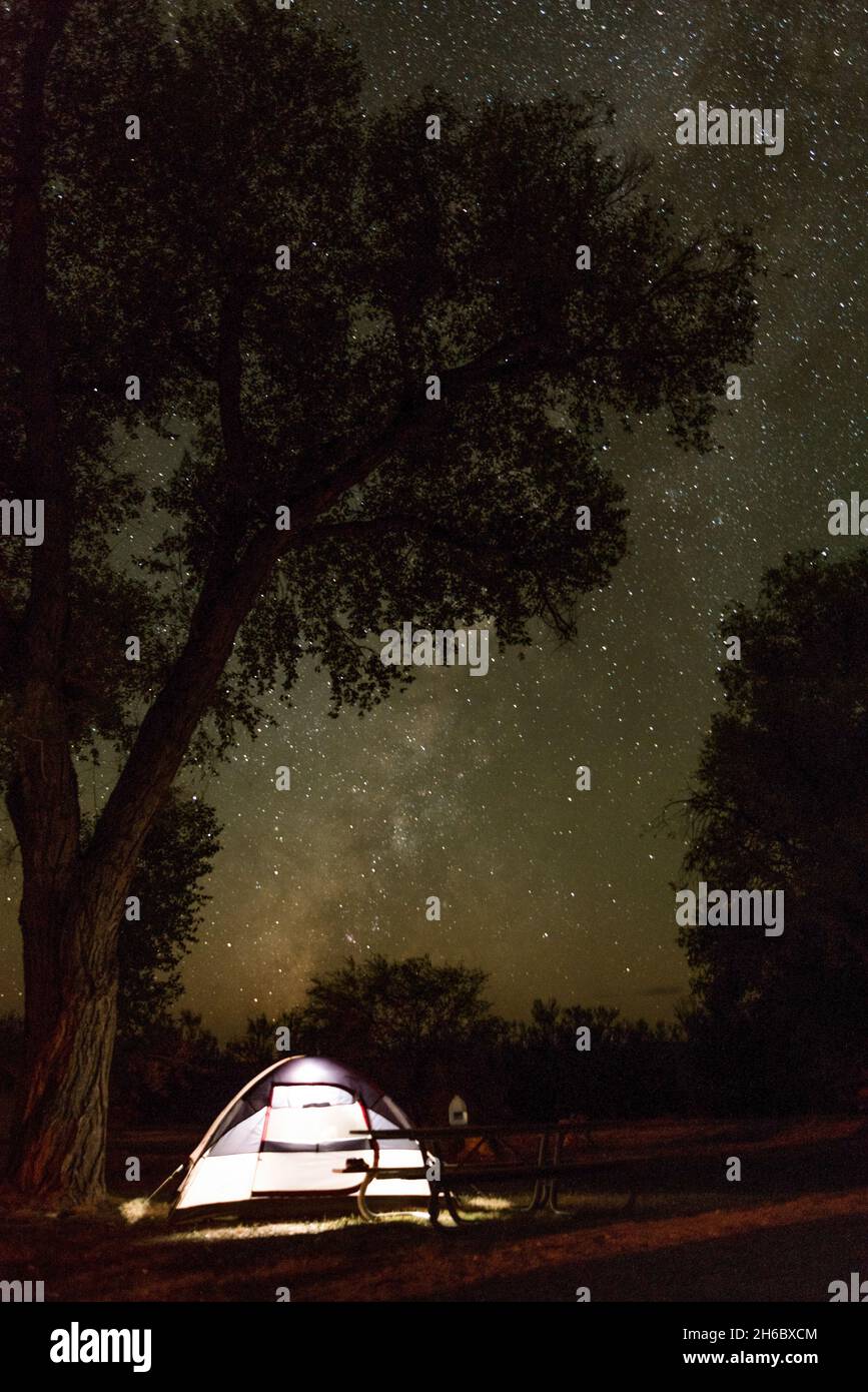 An illuminated tent at night on a campground in Big Bend National Park