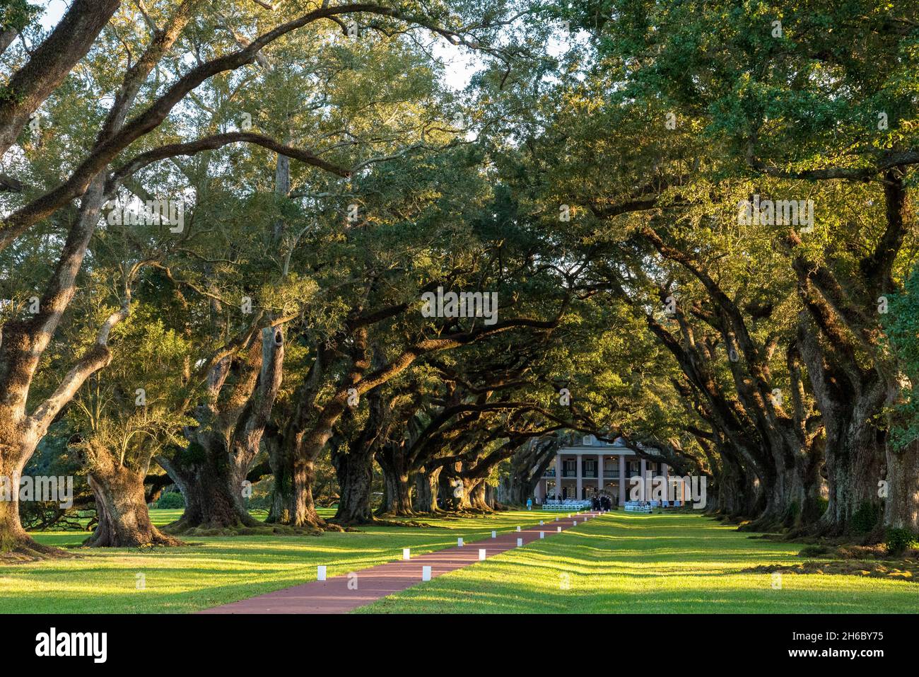 Famous Oak Alley Plantation in Louisiana, USA Stock Photo Alamy
