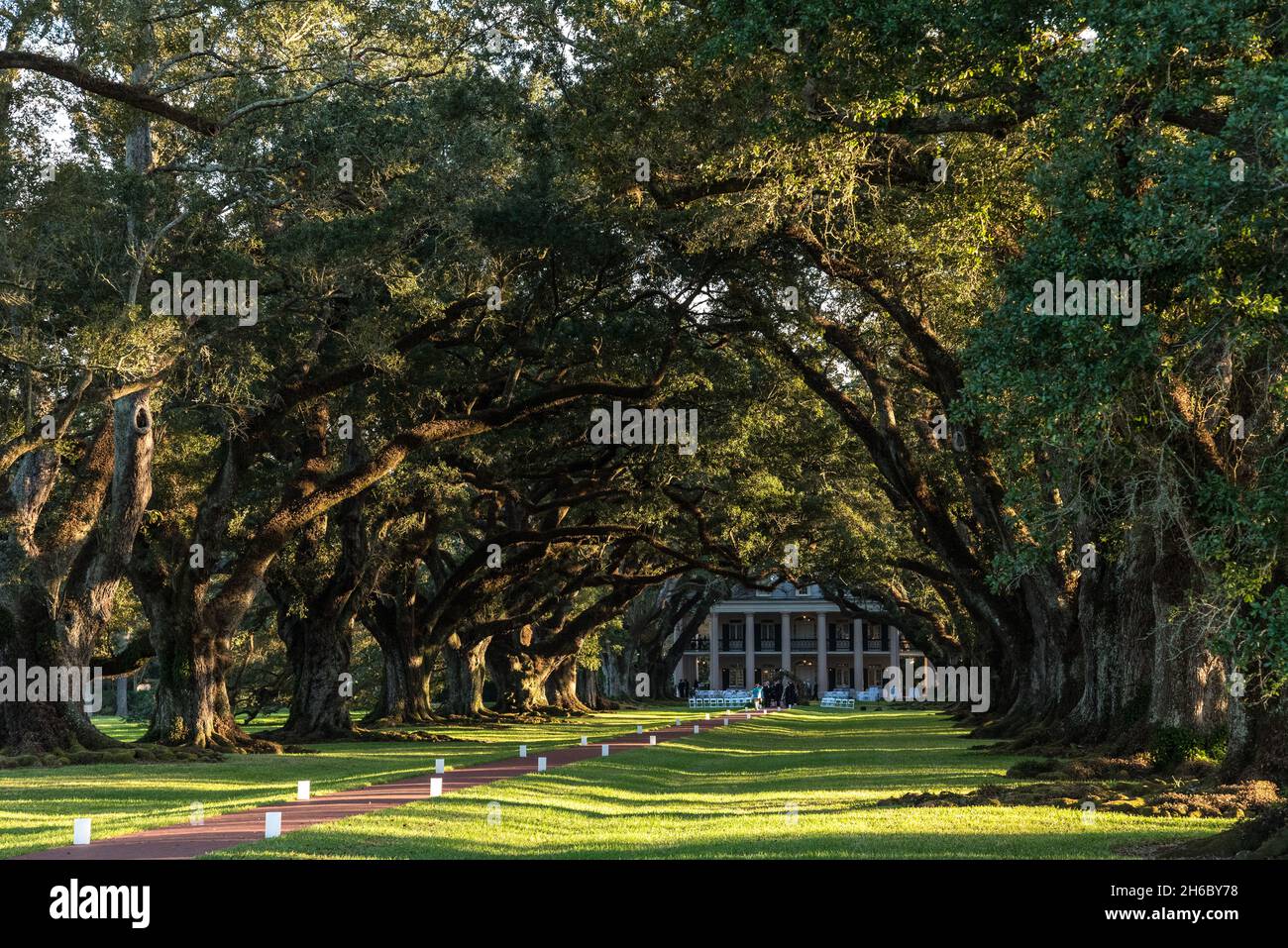Famous Oak Alley Plantation in Louisiana, USA Stock Photo Alamy
