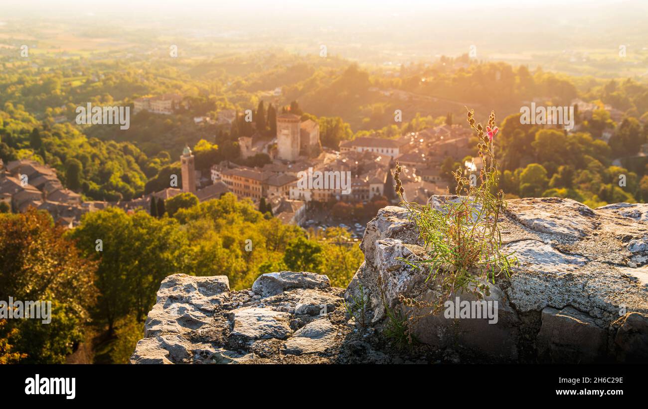 View of the Asolo ancient town from the walls of the Rocca di Asolo, fowers on the foreground Stock Photo