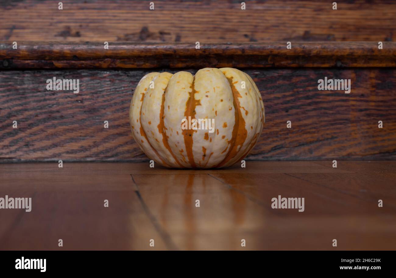 a single, whole, unpeeled, uncooked sweet dumpling squash, a round, yelllow and orange winter squash, on a wood background with copy space Stock Photo