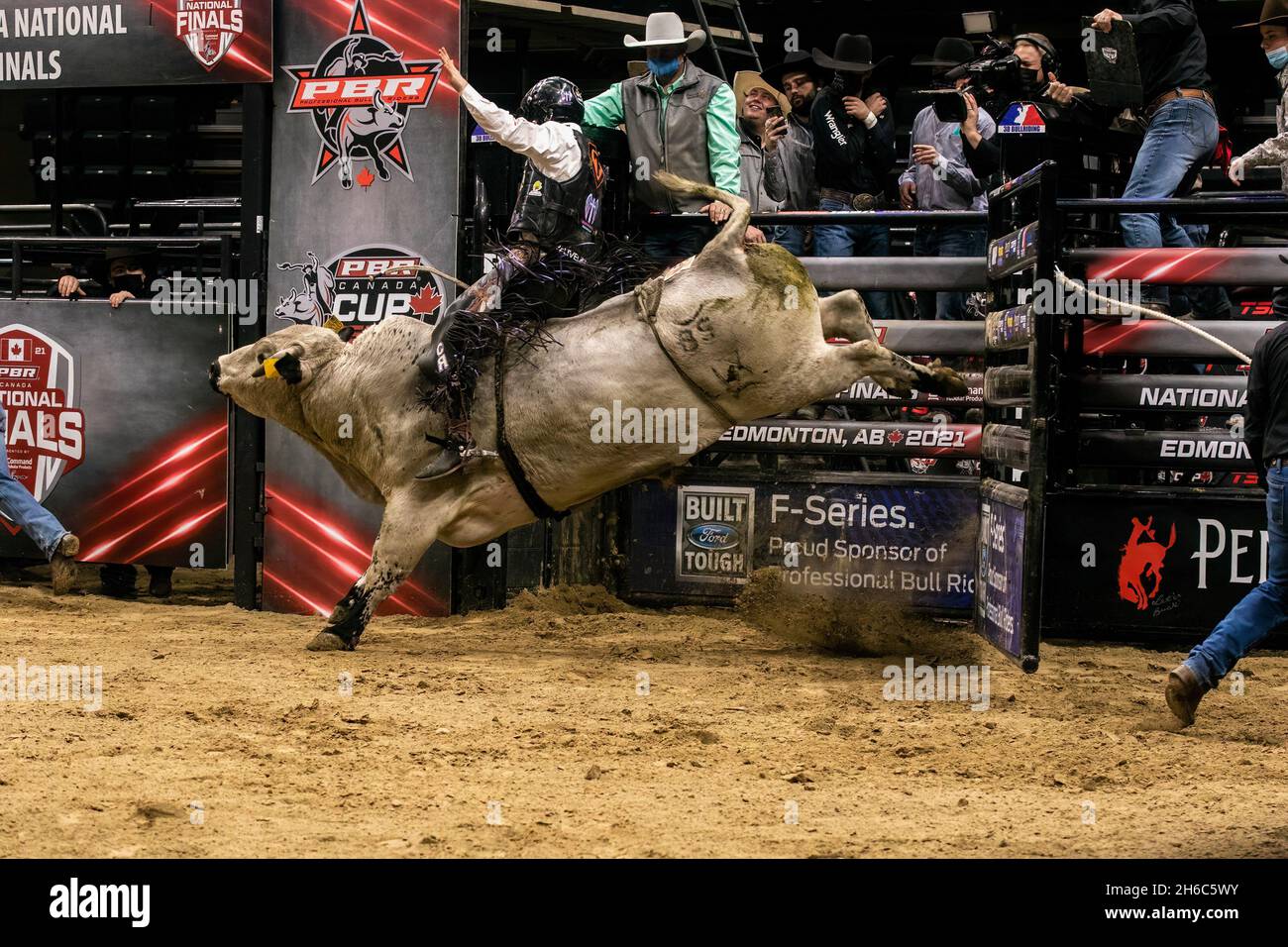 Edmonton, Canada. 13th Nov, 2021. Cody Robbins on "Cinch Jeans Too Hot" during the PBR (Professional Bull Riders/Riding) Canada National Championships at Rogers Place in Edmonton. Credit: SOPA Images Limited/Alamy Live News Stock Photo