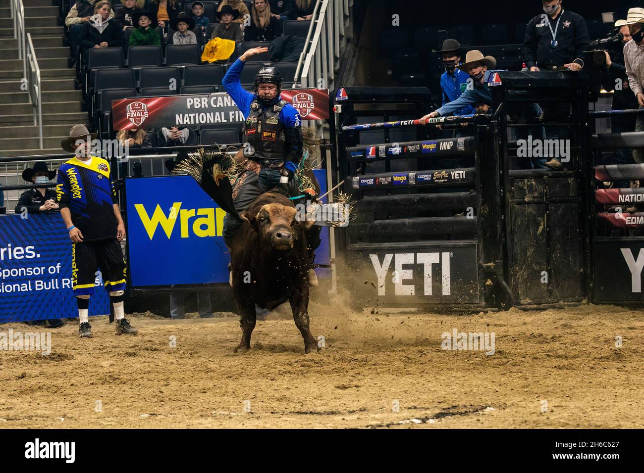 Edmonton, Canada. 13th Nov, 2021. Dakota Louis aboard "Al Capone" during the PBR (Professional Bull Riders/Riding) Canada National Championships at Rogers Place in Edmonton. (Photo by Ron Palmer/SOPA Images/Sipa USA) Credit: Sipa USA/Alamy Live News Stock Photo