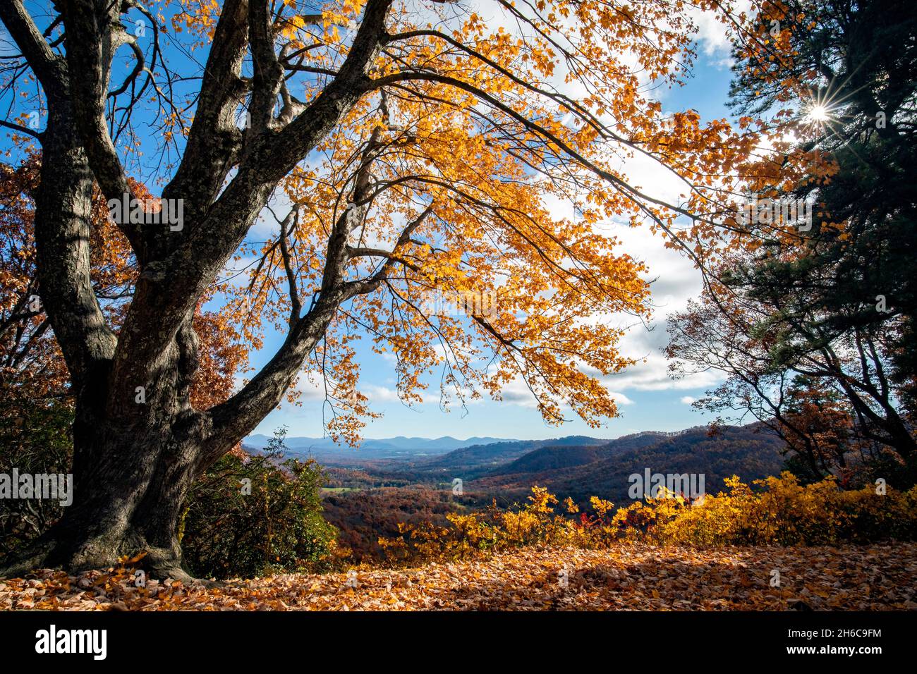 Fall foliage on the Blue Ridge Parkway - Chestnut Cove Overlook - Asheville, North Carolina, USA Stock Photo