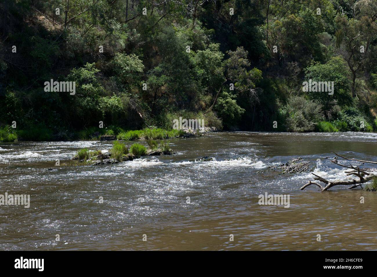 Ancient history Aboriginal fish traps built with rocks in the Yarra
