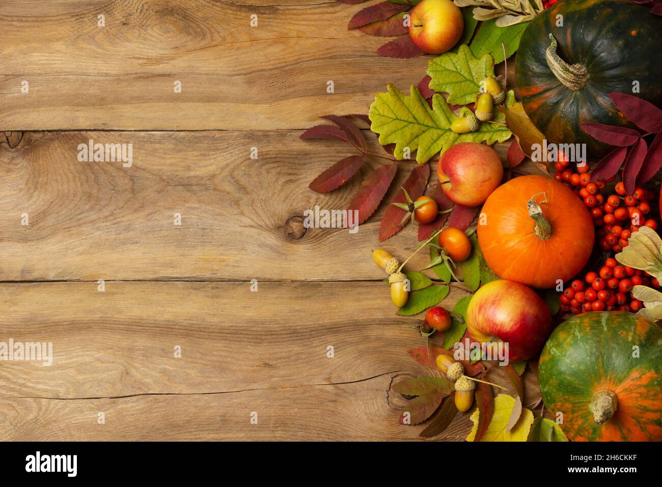 Thanksgiving green, orange pumpkins, rowan, apples on the rustic wooden table, top view Stock Photo