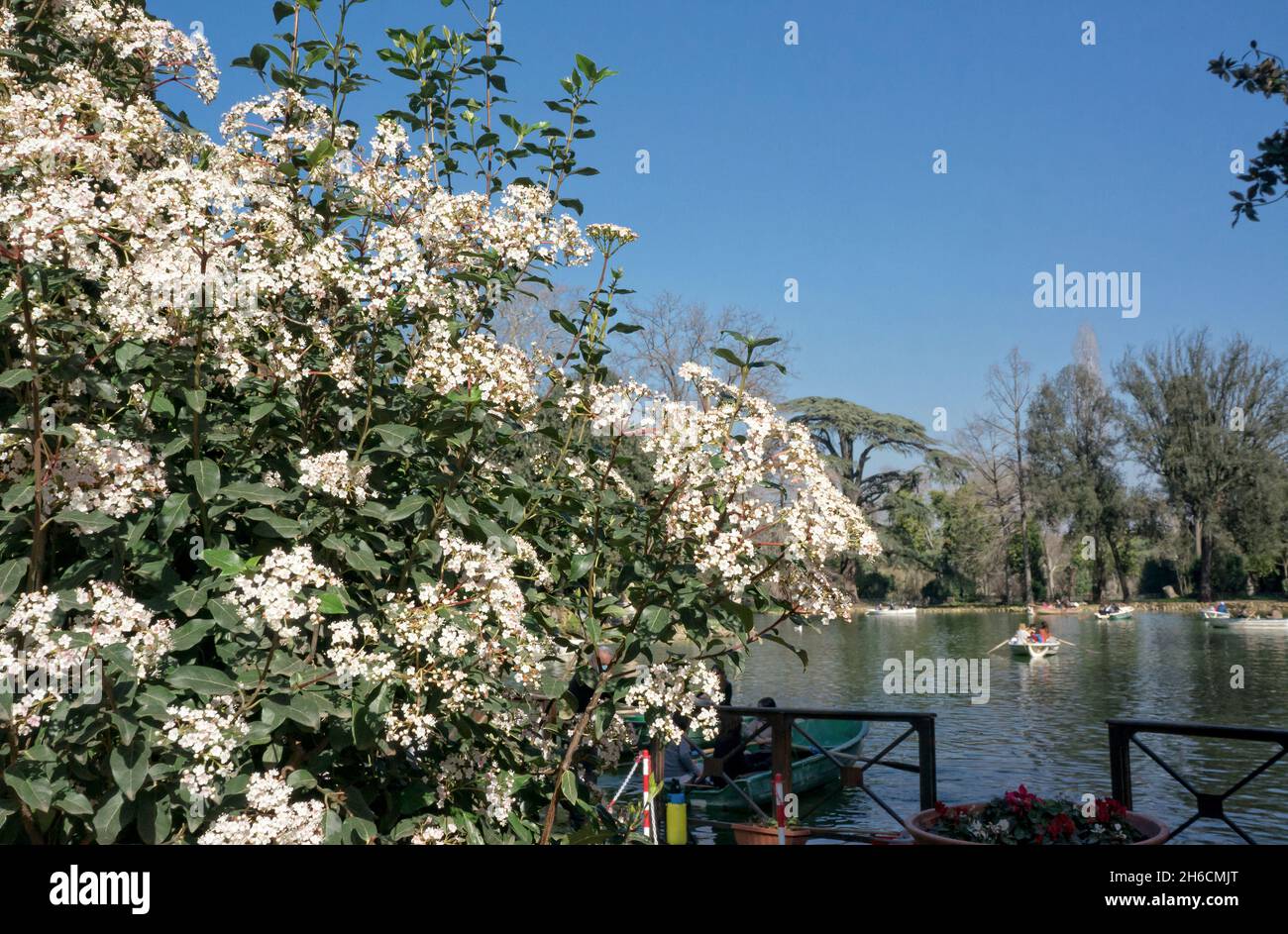 View of the Villa Borghese lake , Rome Italy Stock Photo - Alamy