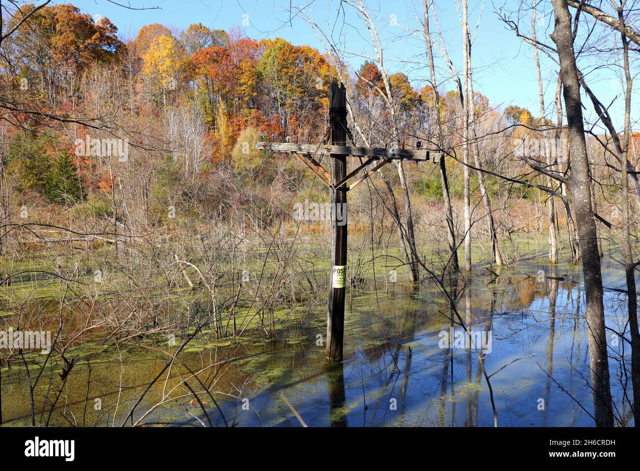 The relic of an old telephone phone in flooded wetland area on an autumn day, Poughkeepsie, New York. Stock Photo