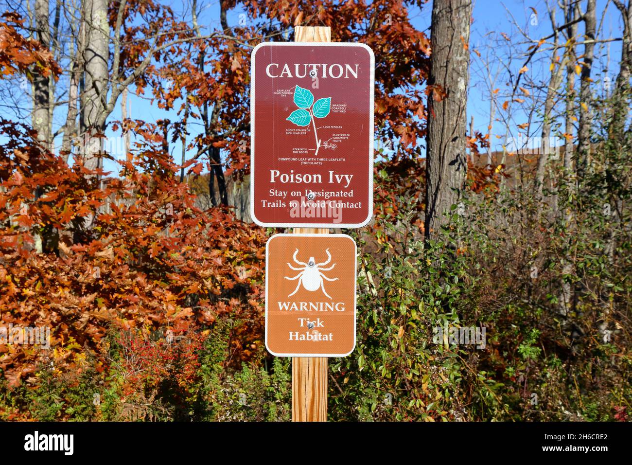 Poison Ivy, and Tick Habitat warning signs. brown information signage  advising users to stay on designated trails to avoid contact Stock Photo -  Alamy