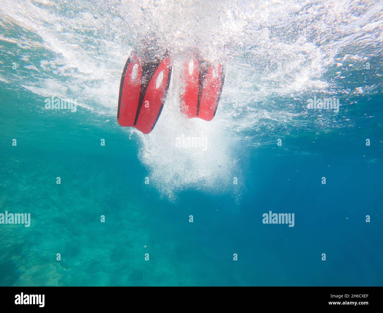man legs in flippers underwater copy space summer vacation Stock Photo ...