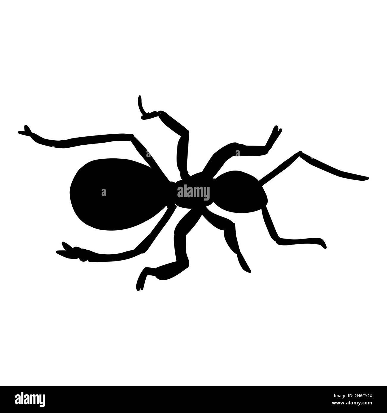 Black ant close up, silhoette. Vector Stock Vector