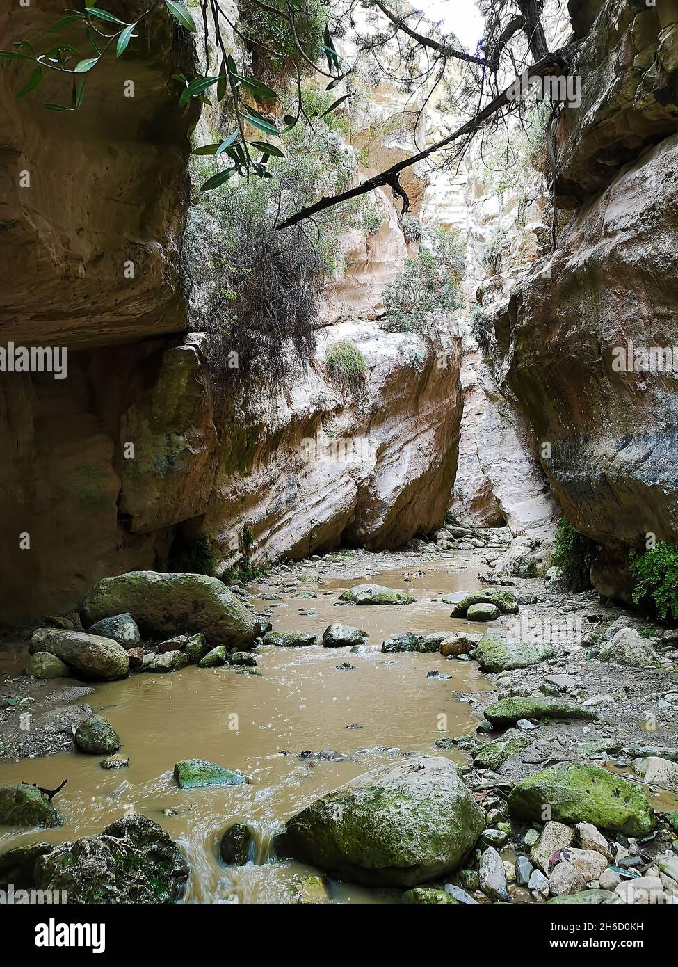 Vertical shot of the amazing Avakas gorge, nature landscape, Cyprus ...