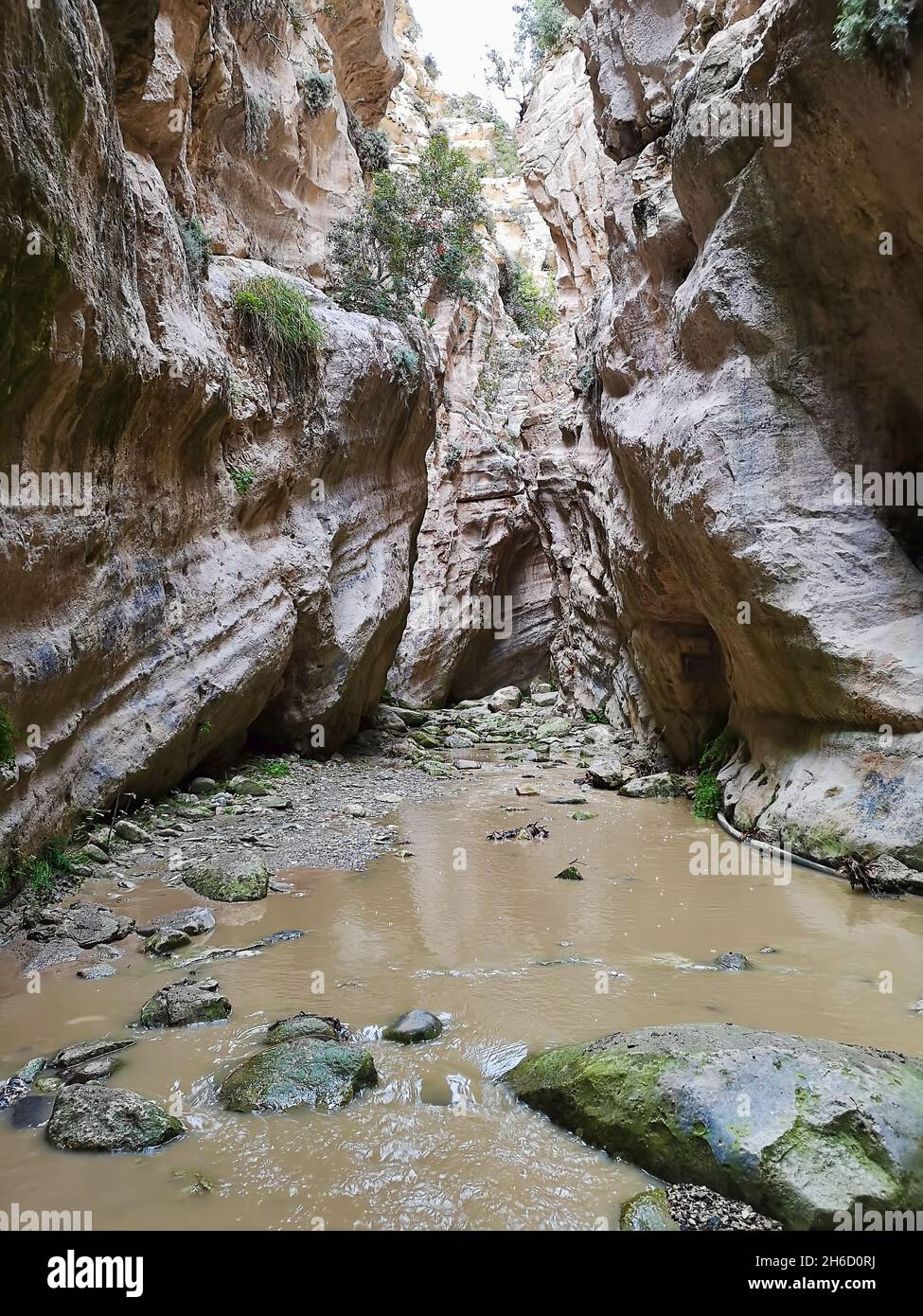 Vertical shot of the amazing Avakas gorge, nature landscape, Cyprus ...
