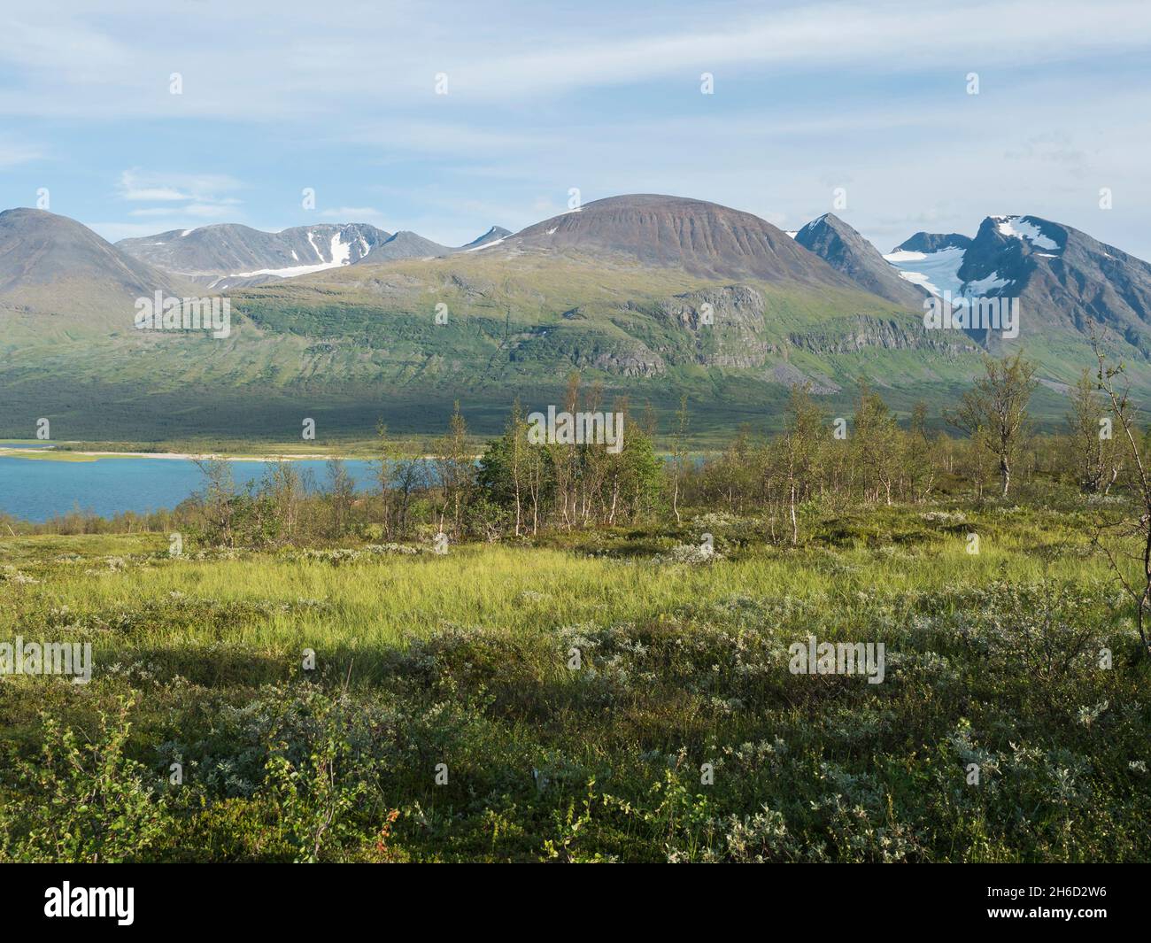 Birch tree at shore of lake Akkajaure with Akka, Ahkka mountain massif with snow and glacier. Beatiful northern artic landscape in Anonjalmme saami Stock Photo