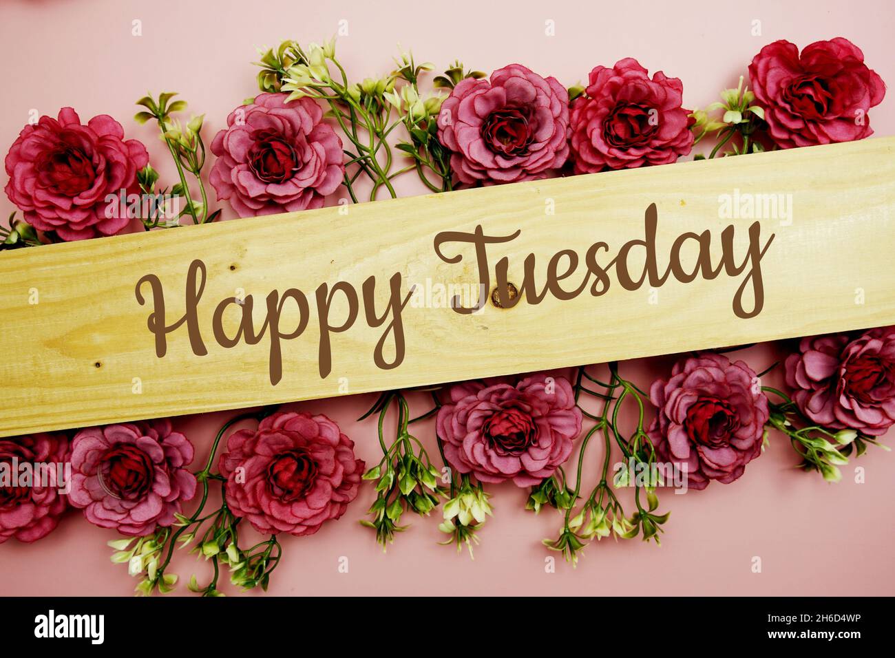 Happy Tuesday typography text and flower decorate on pink ...