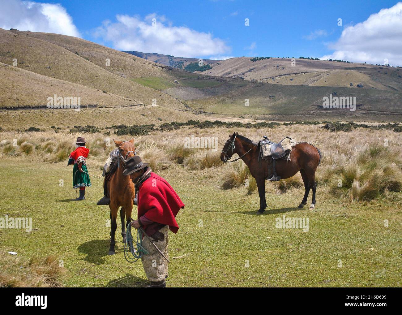 People and mules in Ozogoche moor.   Mountains in back.  Province of Chimborazo, Ecuador Stock Photo