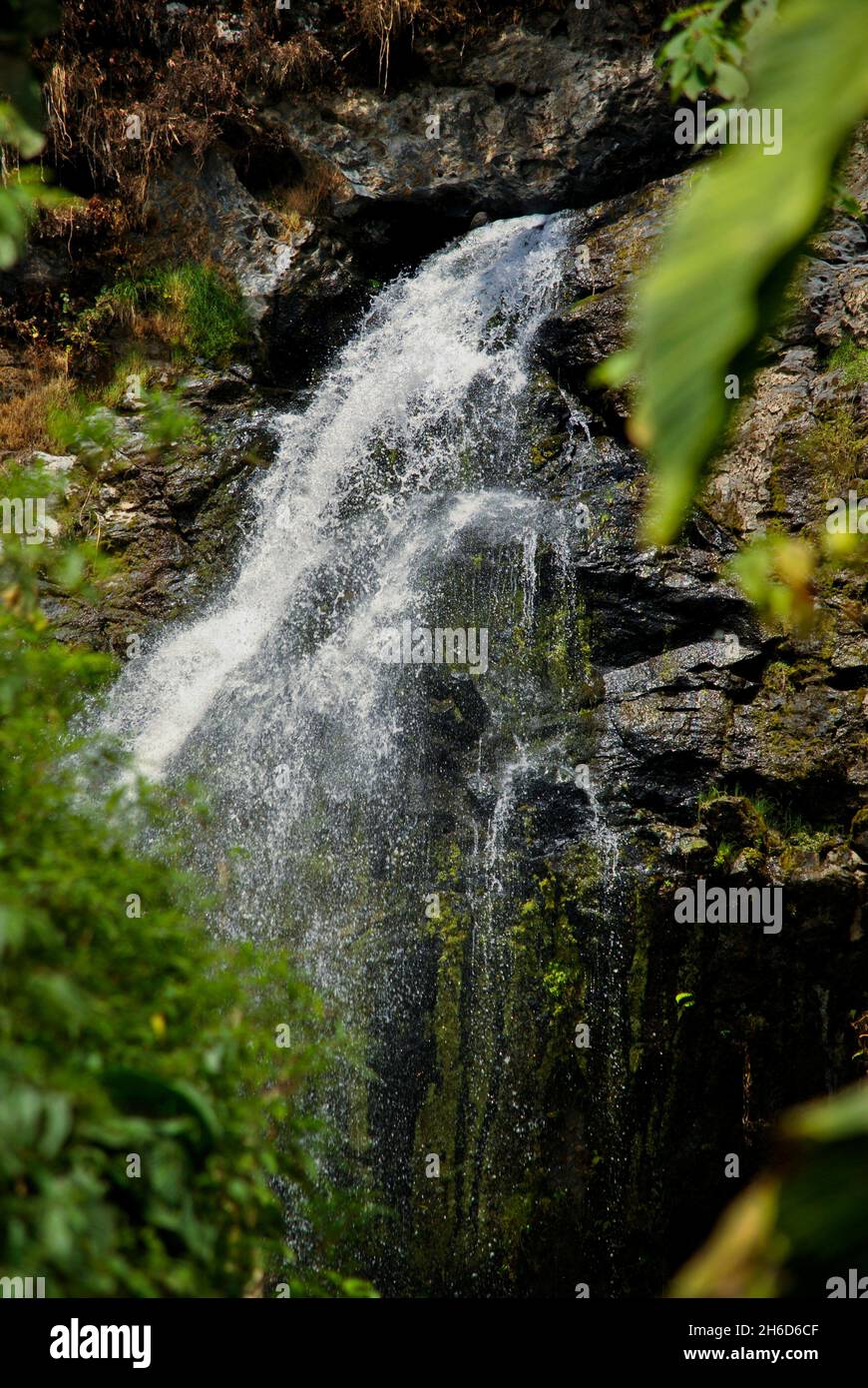 Creek and stones from Panama waterfall.  Huigra, Chimborazo, Ecuador Stock Photo