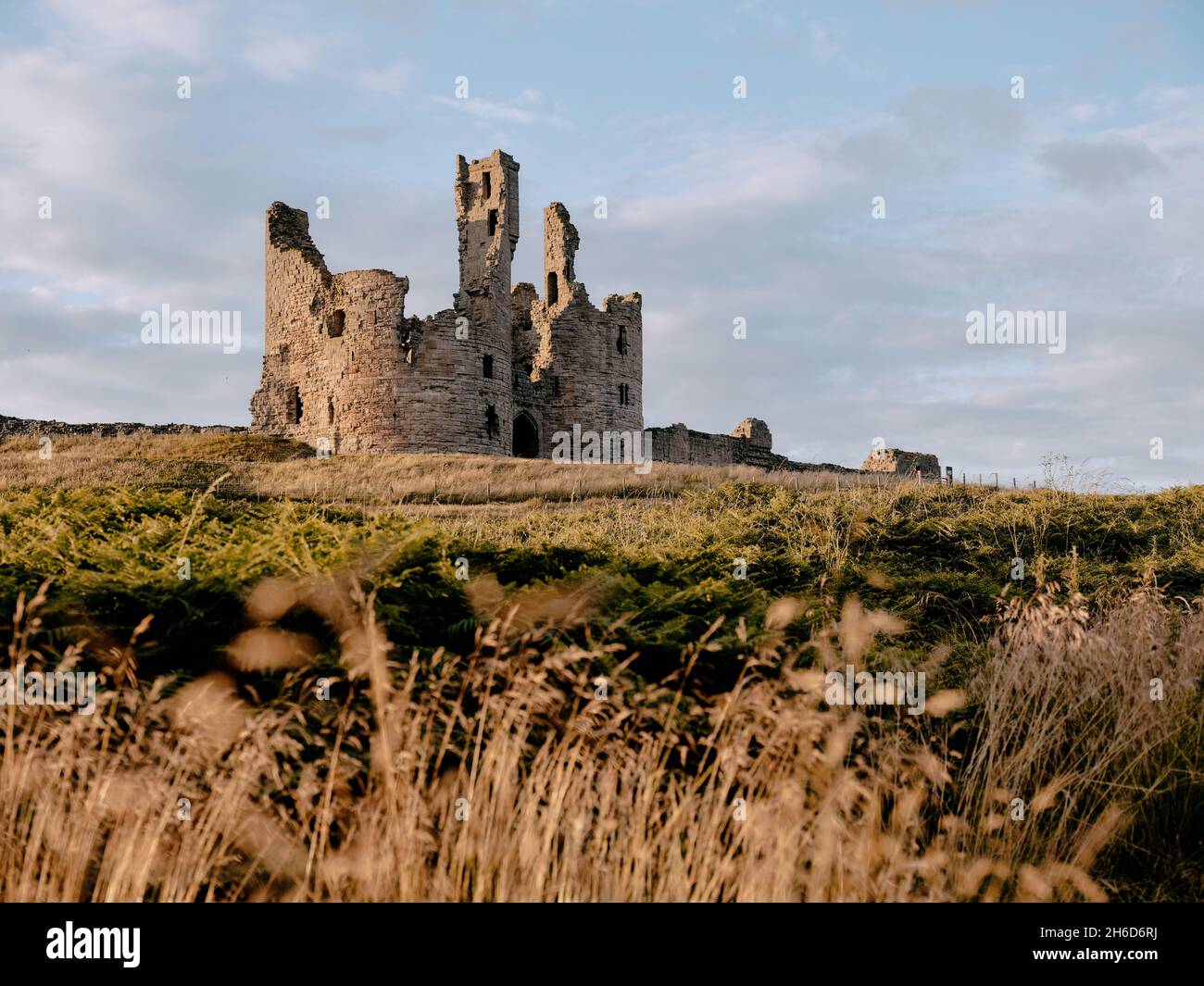 The summer grassland landscape of Dunstanburgh Castle ruins - 14th-century fortification in Craster Northumberland northern England UK Stock Photo