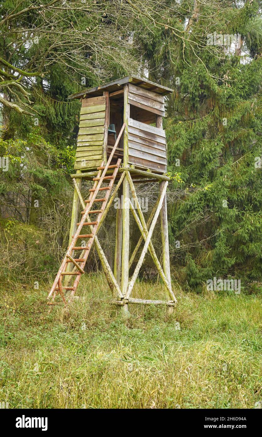 Wooden deer and wild boar hunting tower in forest Stock Photo - Alamy