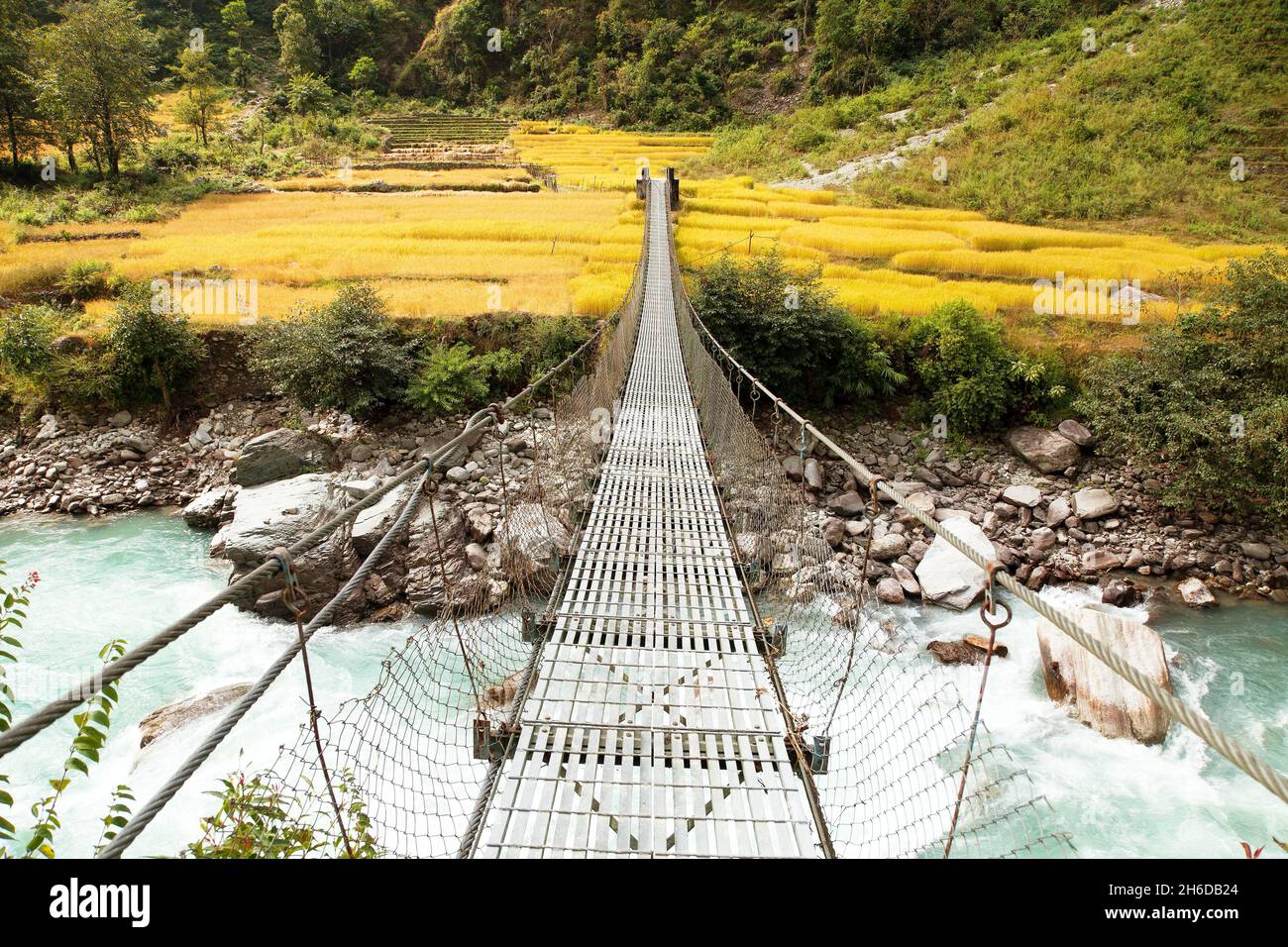 rope hanging suspension bridge and rice or paddy fields in Nepal Himalayas mountains Stock Photo