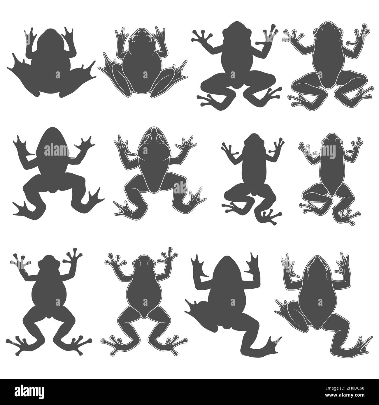 Set of black and white illustrations with tree and river frogs. Isolated vector objects on white background. Stock Vector