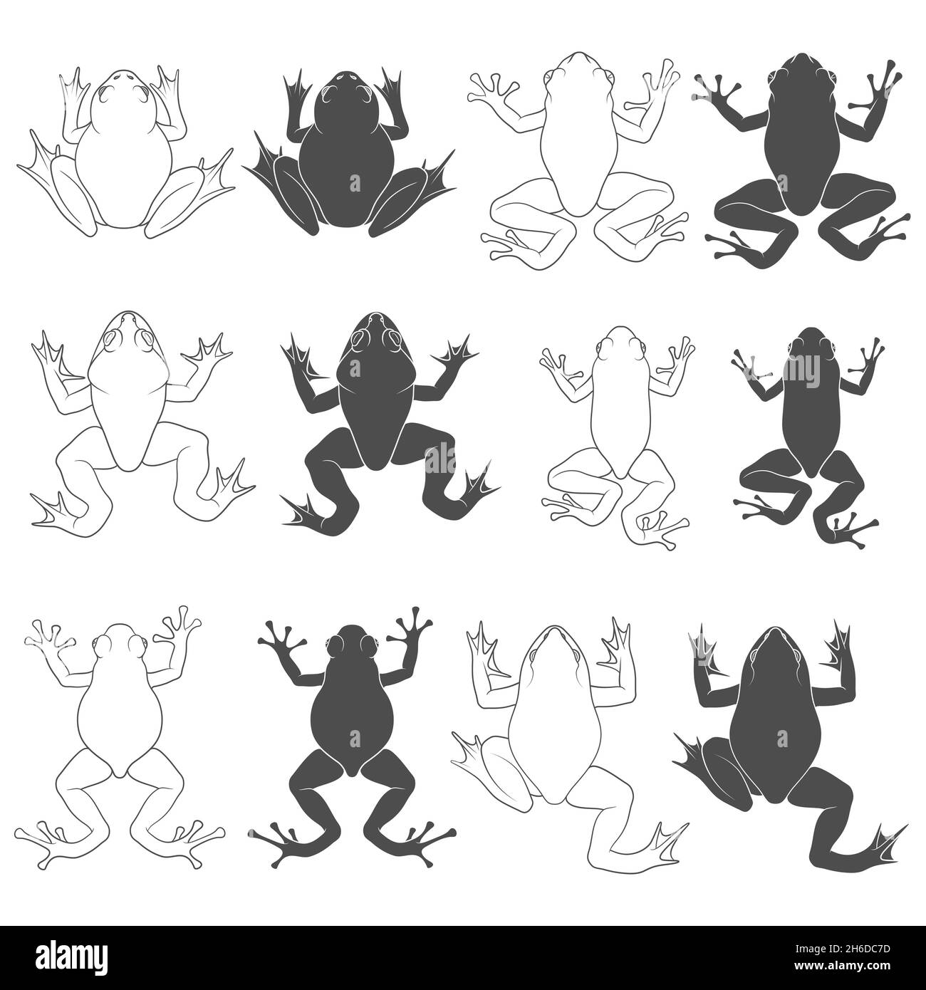 Set of black and white illustrations with tree and river frogs. Isolated vector objects on white background. Stock Vector