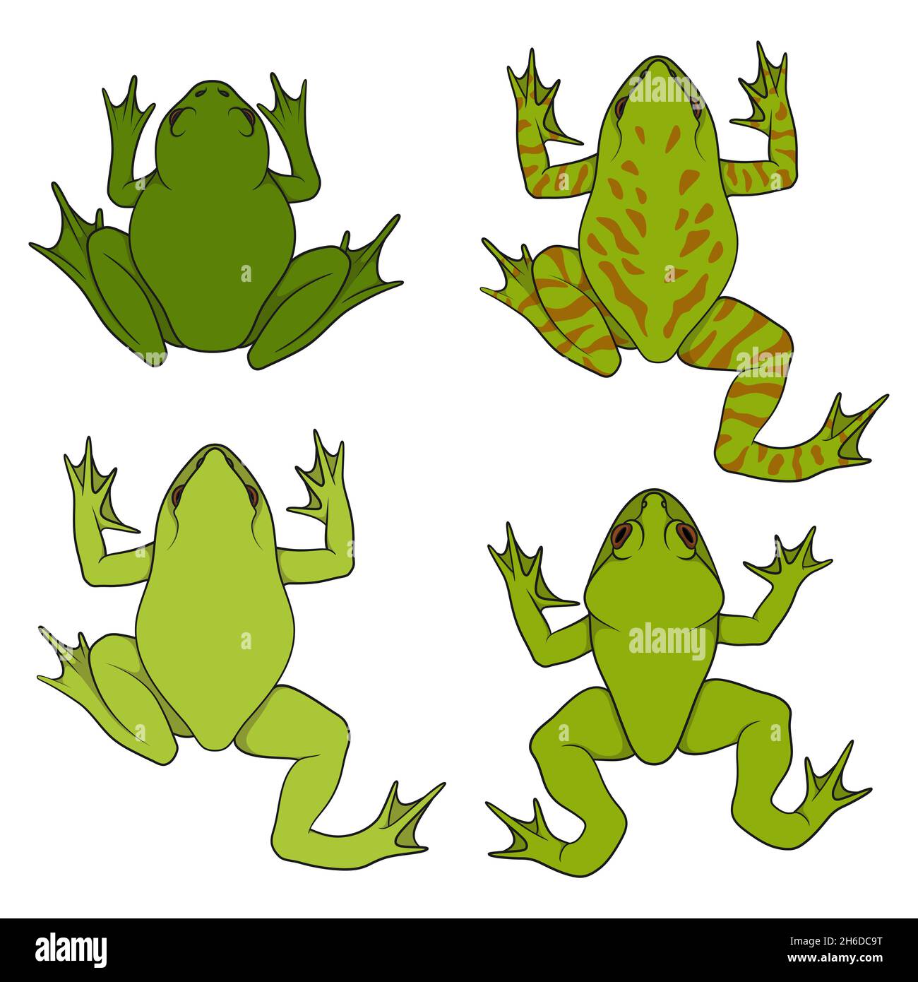 Set of color illustrations with water, river frogs. Isolated vector objects on white background. Stock Vector