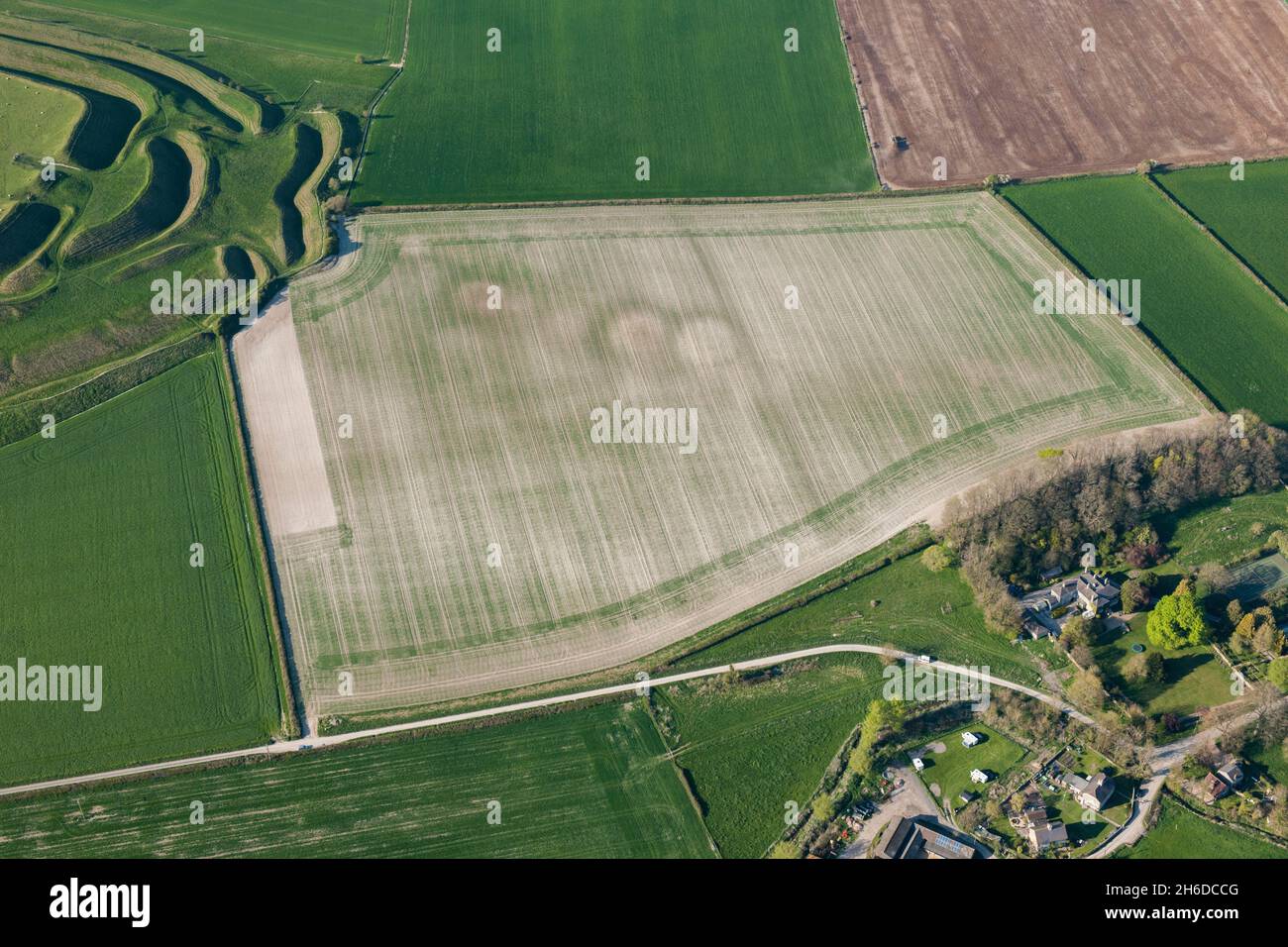 A round barrow cemetery crop mark immediately south east of Maiden Castle, Winterborne Monkton, Dorset, 2015. Stock Photo