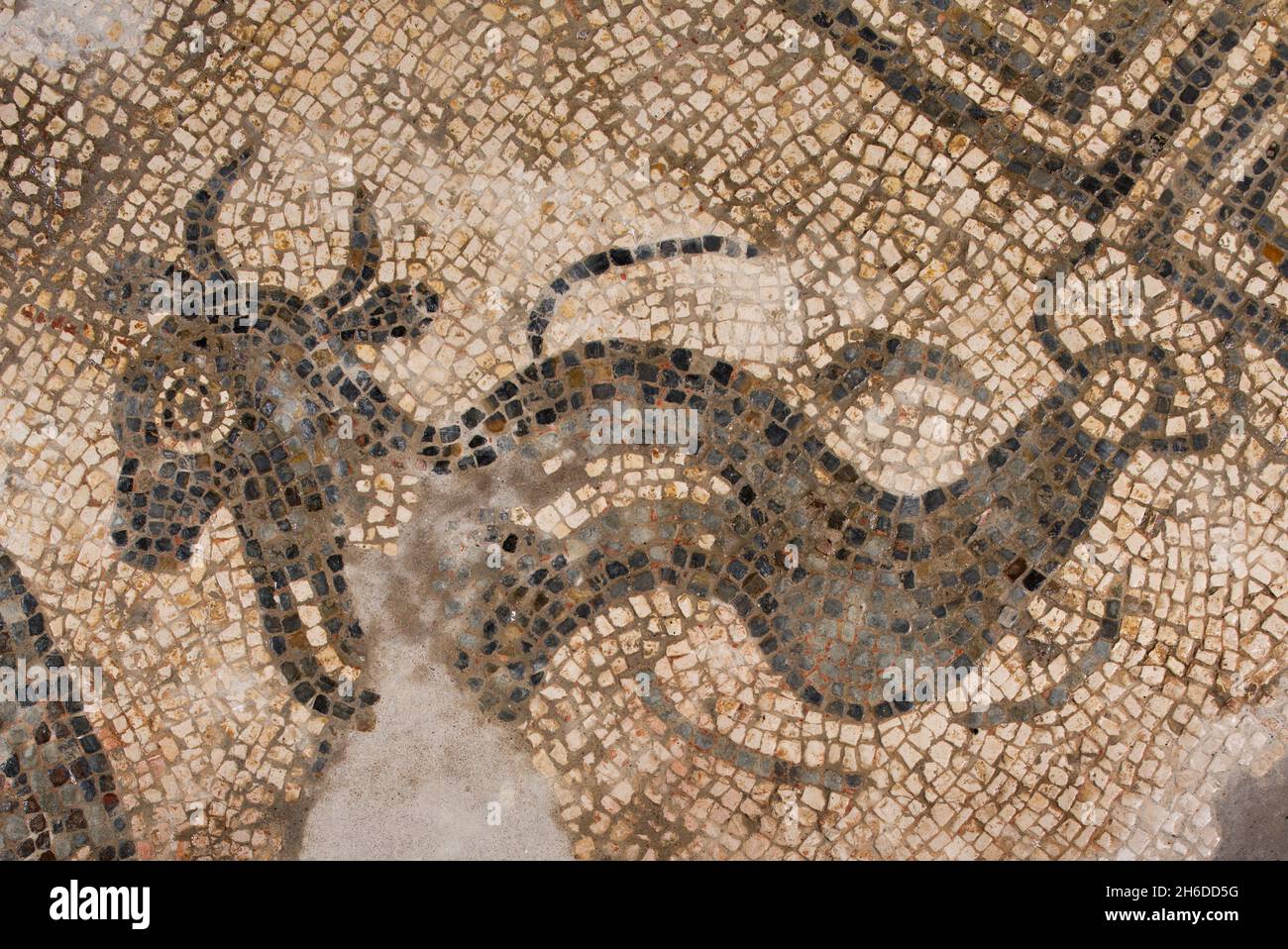 Witcombe Mosaic, Great Witcombe Roman Villa, Gloucestershire, 2018. Detail of a ...