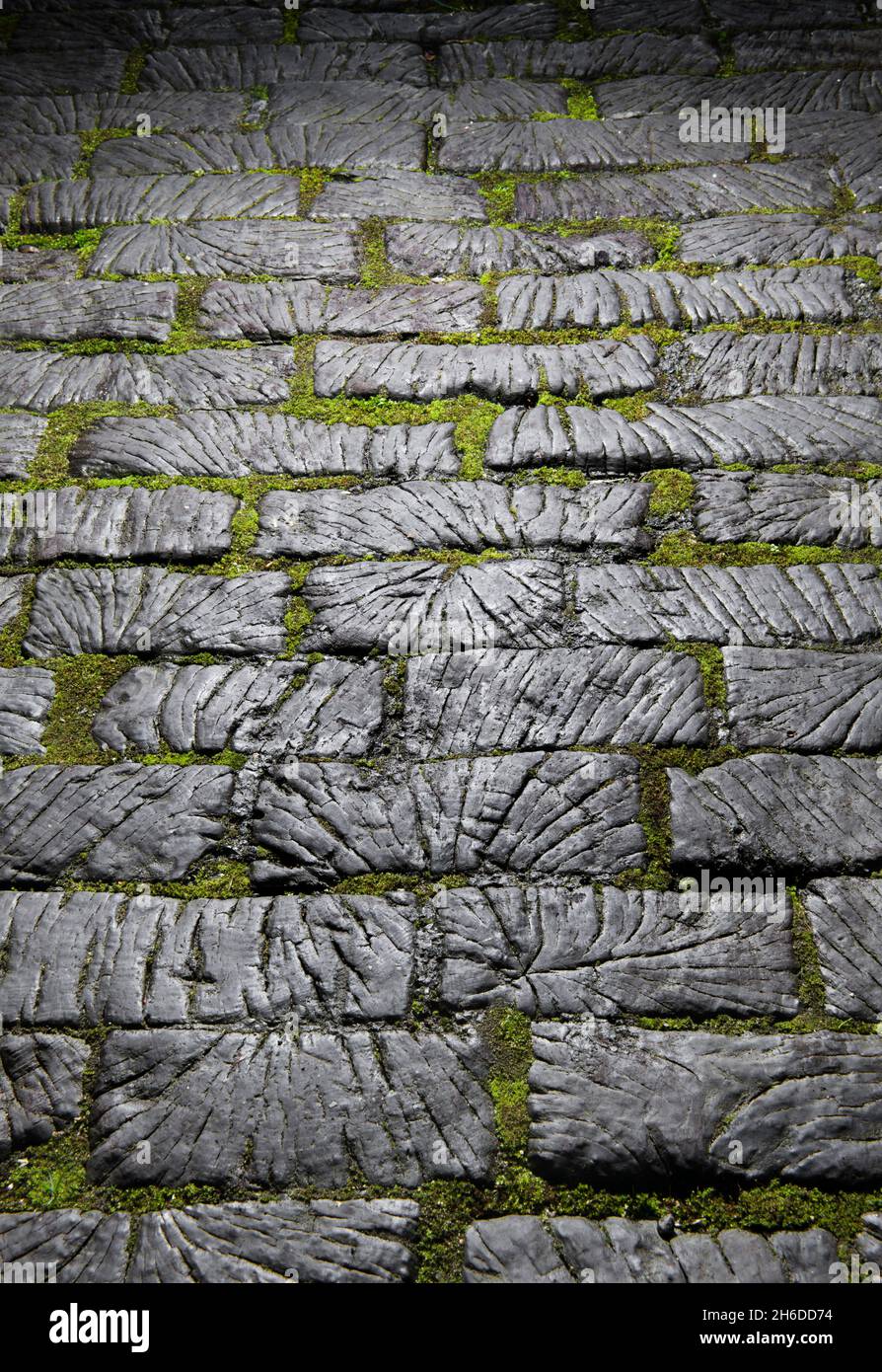 Timber Setts Rochdale street with setts hi-res stock photography and images - Alamy