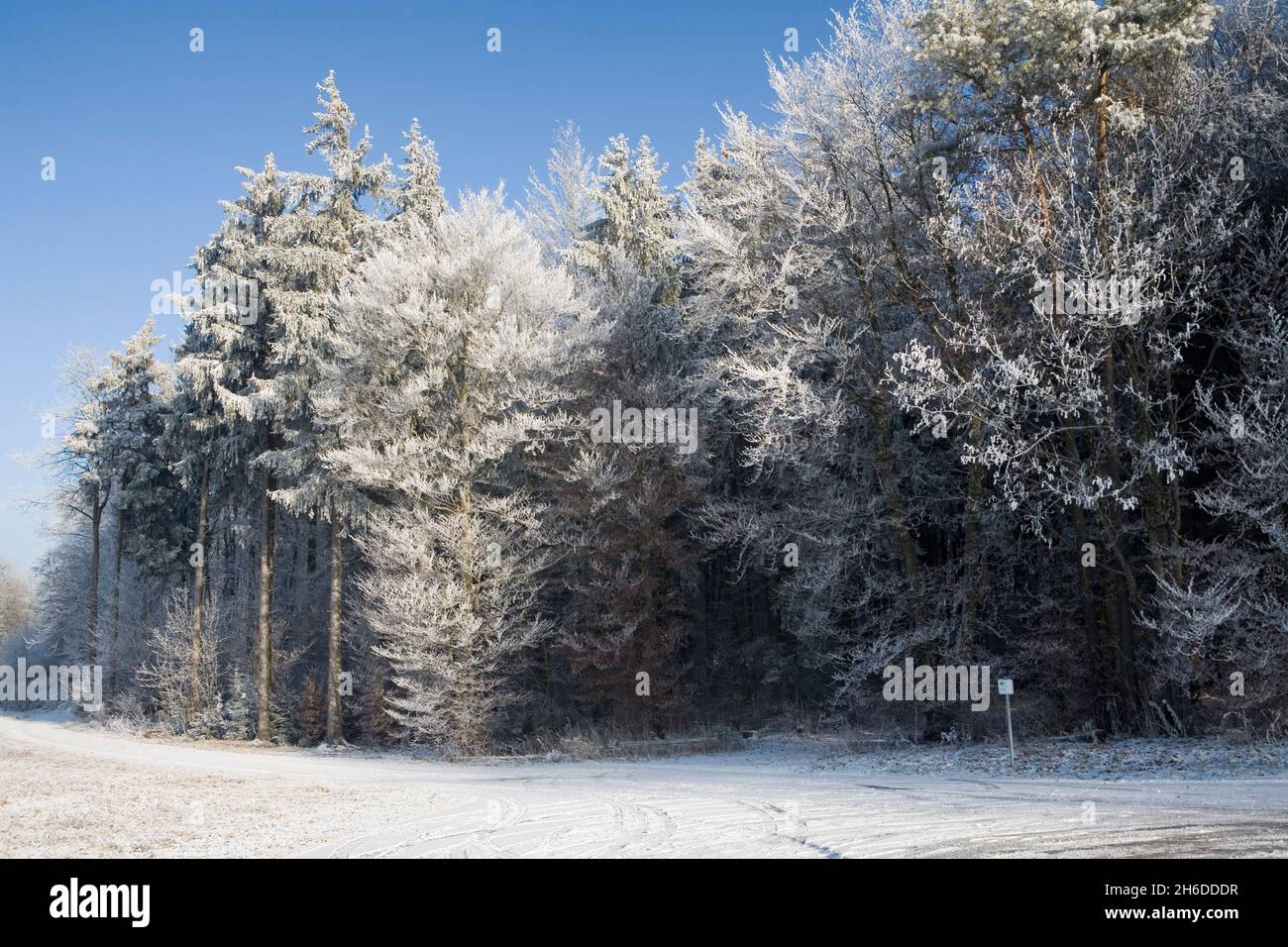 snowy winter landscape, Austria Stock Photo