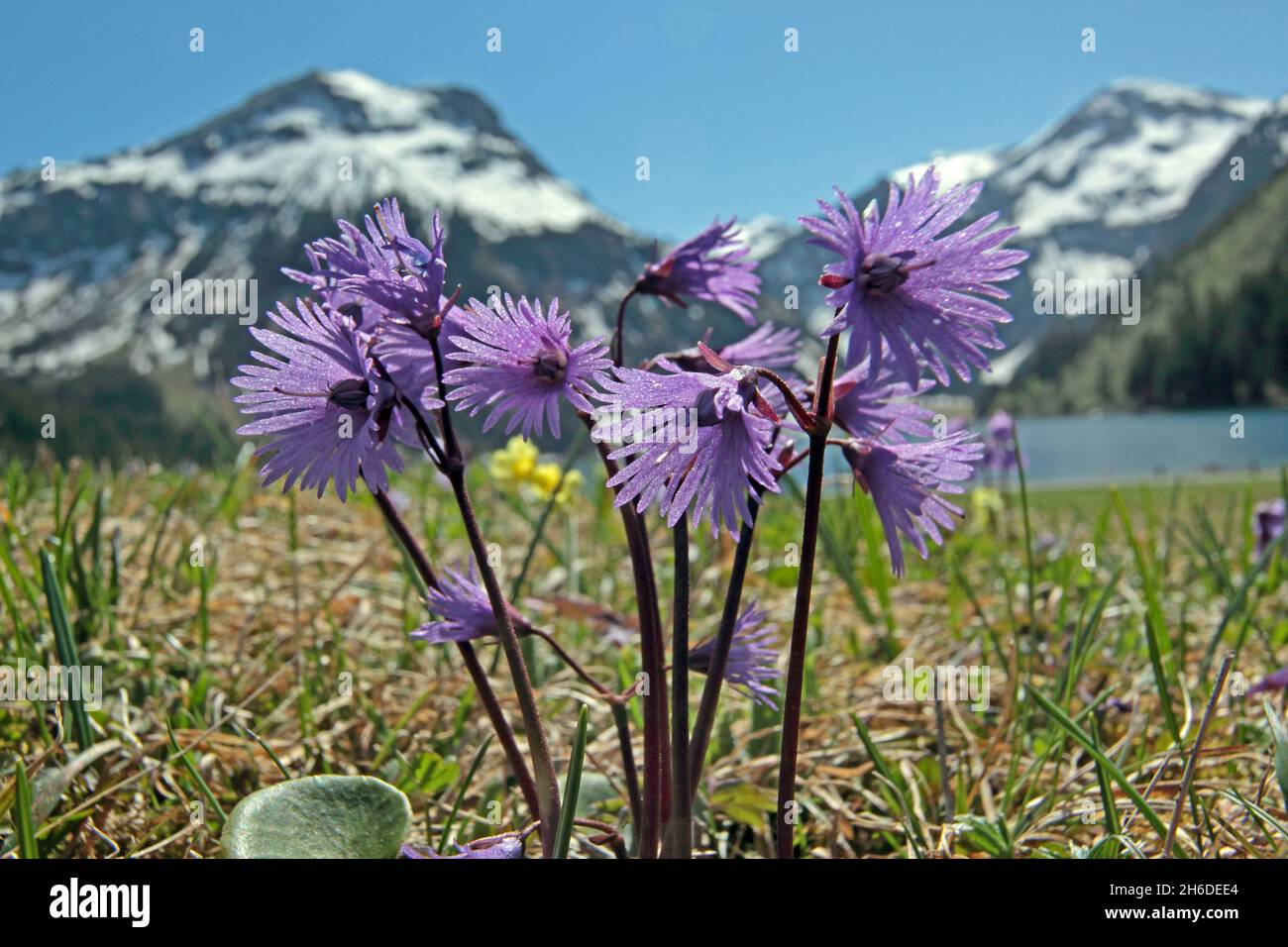 Landscapes plants hi-res stock photography and images - Page 2 - Alamy